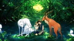 studio ghibli princess mononoke Anime