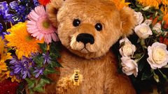 Stuffed animals bees teddy