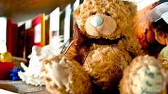 Stuffed animals teddy bears