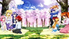 Subaru heterochromia takamachi nanoha mahou shoujo lyrical 