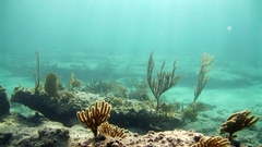 Submarine underwater