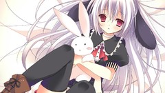 Sugar Coco anime girls animal ears lying down ecchi stuffed 