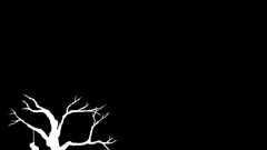 Suicide tree black white