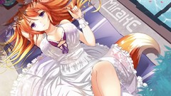 Summer Anime anime girls animal ears tails orange hair