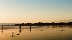 Summer days scenery vasaros