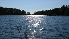 Summer Finland Sea