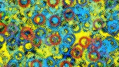 Summer Fractals colors apophysis color composition