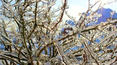 Summer has ended back