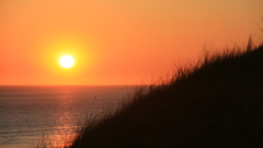 Summer Made This one