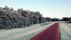 Summer moon roads skies