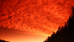 Summer night in Finland