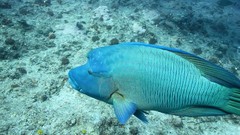 Summer ocean Beaches