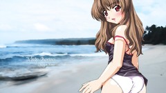 Summer onegai twins anime