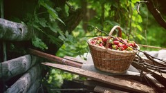 Summer red Green brown Wood strawberries Ukraine