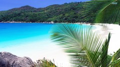 Summer Seychelles Beaches