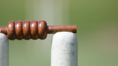 Summer Sports cricket wicket