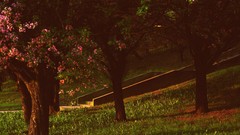 Summer spring Warsaw Old City Warszawa Stare Miasto