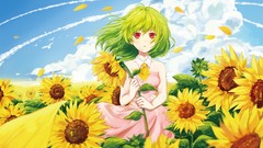 Summer Sunflowers touhou kazami yuuka video games