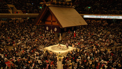 Sumo arena Sport
