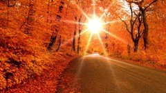 Sun autumn roads streets