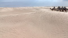 Sun bar Salt Camels deserts modified