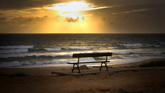 Sun bench Sea Beaches