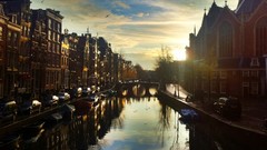 Sun Birds Boats Netherlands buildings canal vehicles