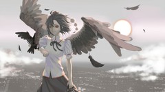 Sun Birds wings red eyes touhou shameimaru aya