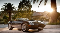 Sun cars palm trees classic cars