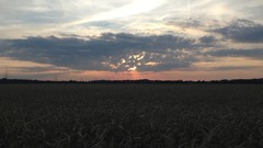 Sun clouds fields skies