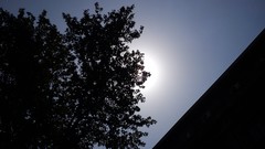 Sun dark black and white