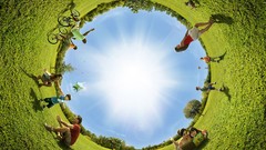 Sun fields Parks Landscapes