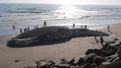 Sun horizon dead rocks