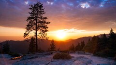 sun landscape forest Trees rock sunlight nature clouds sky