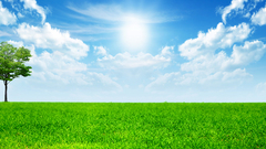 Sun lonely skyscapes