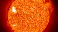 Sun prominence big high