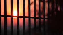 Sun silhouettes fences blurred sunlight