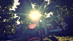 Sun summer dawn school