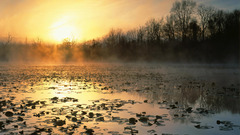 Sun sunset nature misty