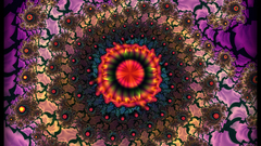 Sun The staring anthonyrichardwalker