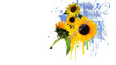 Sunflower smash method flower