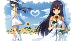 Sunflowers Anime akiyama mio k - on nakano azusa