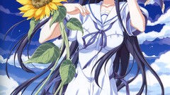 Sunflowers anime girls scans Odawara Hakone