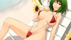 Sunflowers anime girls touhou kazami yuuka bikini video games 
