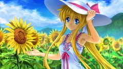 Sunflowers Anime kamio misuzu
