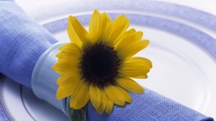 Sunflowers home plates still life napkins