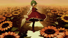 Sunflowers video games touhou
