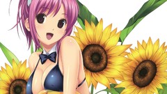 Sunflowers woman Anime nekomimi