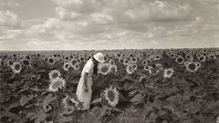 Sunflowers woman vintage monochrome fields old photography 