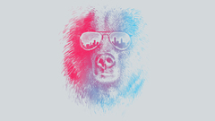 Sunglasses Bears